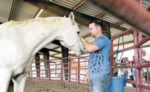Army Staff Sgt. Joshua Wright, 29, strokes the head of Max, an Arabian. Veterans such as Wright are being helped with equine-assisted therapy to heal their emotional wounds.