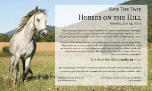 horsesonthehillsmall