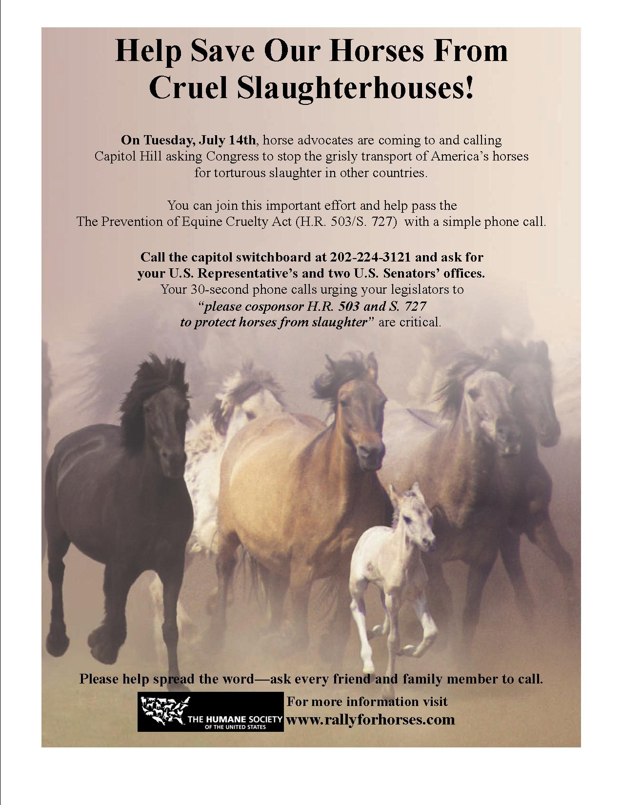 Horse_Flier_National Call in Day_7-08-09