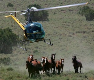 Congress may help to stop this barbaric practice