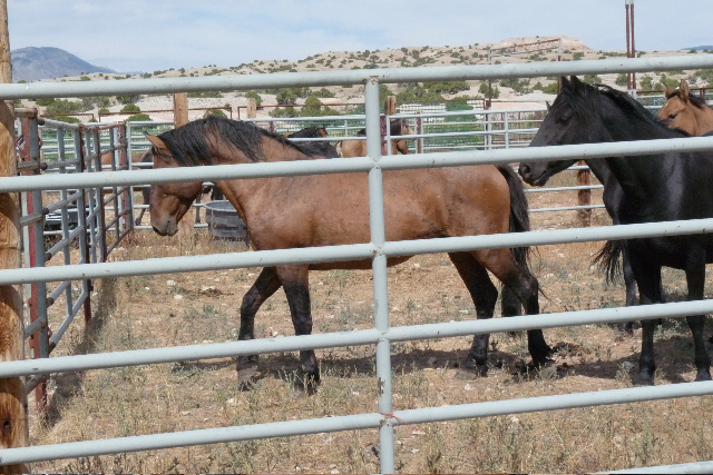 !cid_5B2F29EB-31CE-492A-B33E-65BCDC476535@hsd1_ca_comcast_net