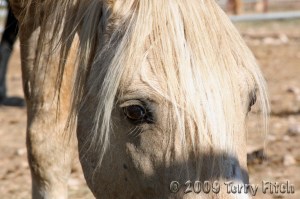 Cloud, after capture, Labor Day 2009