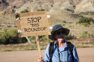 A wild horse advocate speaking for the the bulk of America's voting population