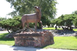 wildhorsestatue