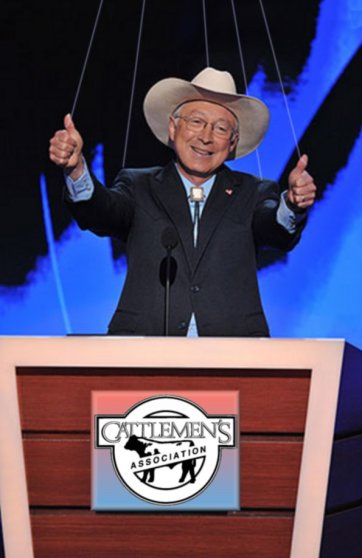 Salazar, Failed Director of the Department of Interior