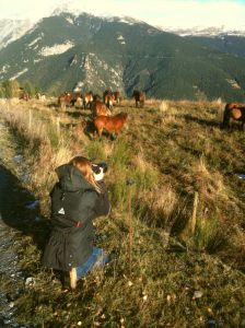 Terry Fitch in Pyrenees Moutains
