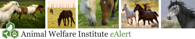 eAlert_header_Horse