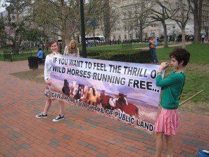 Kids for Horses