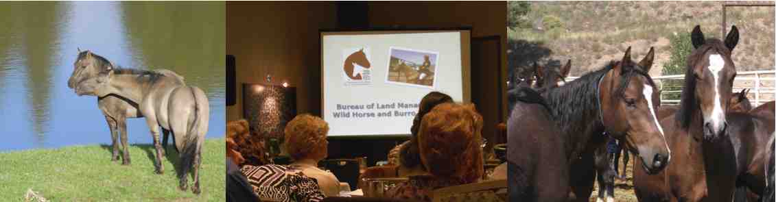 Meeting Video Now On Line