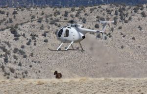 Chopper on Lone Horse