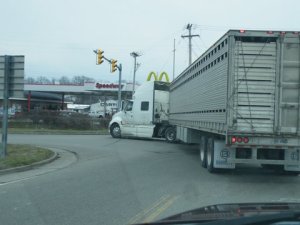 Canadian Truck bound with horses to slaughter