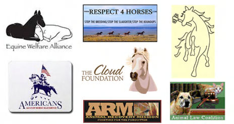 Equine Welfare Logos