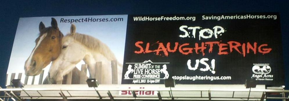 OK City Billboard courtesy of Respect 4 Horses and Wild Horse Freedom Federation