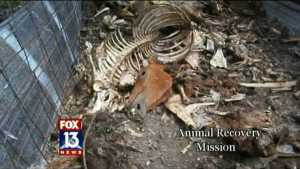 Animal Recovery Mission - Click to view Video