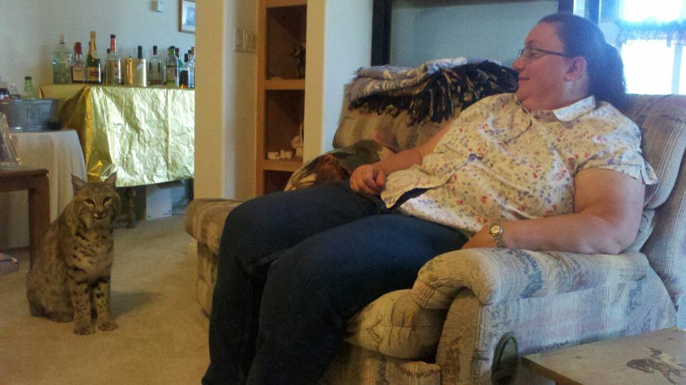 $ue Wallis the Horse Terminator