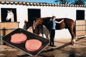 Horse meat found in burgers