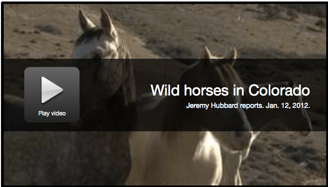 Click Image to View Video