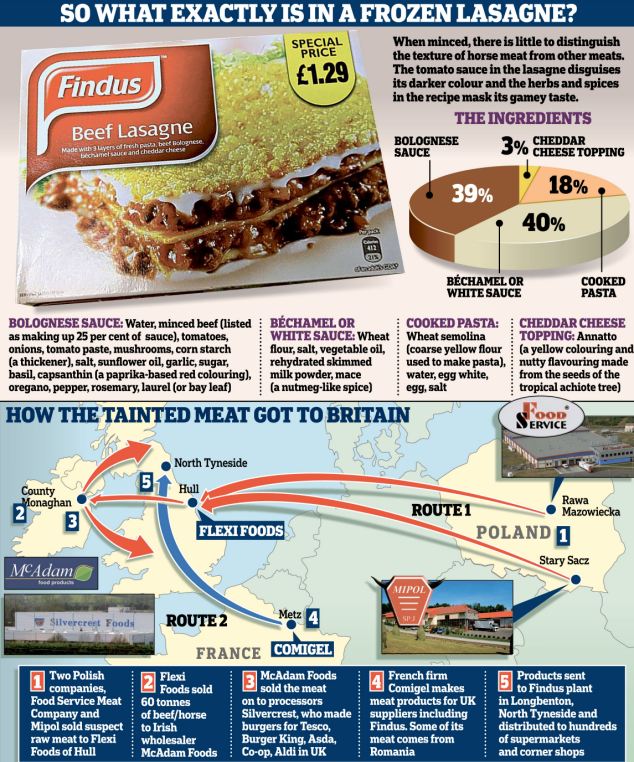 How did the tainted horse meat get into the beef?