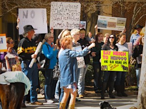 Terry Fitch of Wild Horse Freedom Federation
