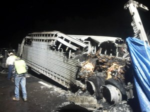 This is the scene that confronted Chris Chordas when he arrived at a horse trailer fire Monday night near Binghamton. He called it like a horror movie. Photo by Chris Chordas