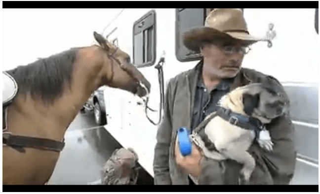 Click Image to view Video and additional Pictures