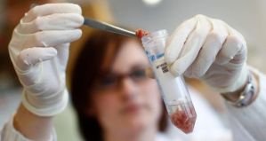 The horse meat crisis has led the world’s largest food manufacturer Nestle to test for the presence of meat such as kangaroo and dog. Photograph: Michaela Rehle /Reuters