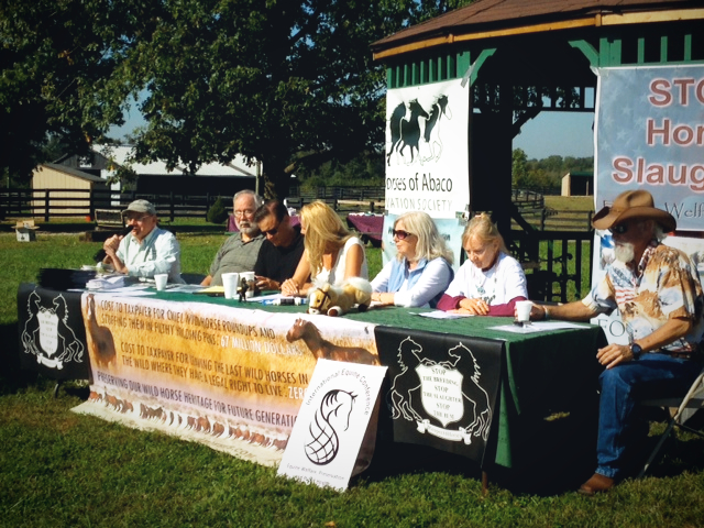 IEC Press Conference