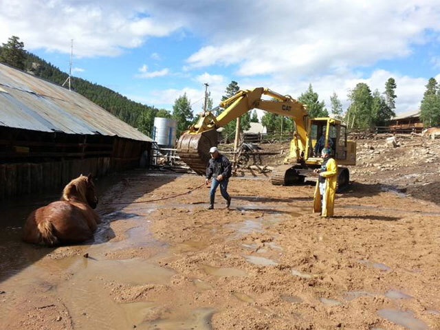 Employees and an excavator operator work to save a draft horse stuck in deep mud at Aspen Lodge Resort & Spa in Estes Park on 9/15/2013.  Kristina Naldjian/Aspen Lodge
