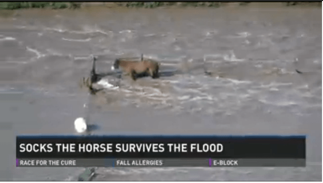 Click on Image to View Video