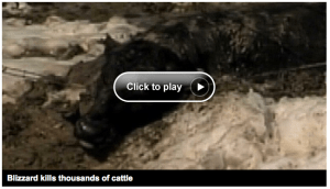 Click Image to View Video at CNN