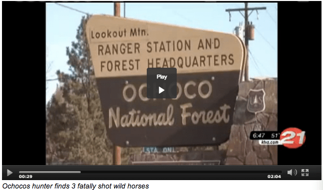 Click on image to view video