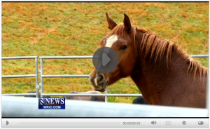 Click on Image to View Video