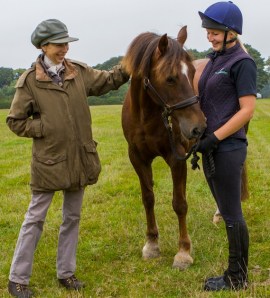 "This is the one!" A Welsh Cob mare named Annie caught the eye of Princess Anne. The mare needed a home and Princess Anne needed a riding horse. Annie now has a new home. (World Horse Welfare photo)