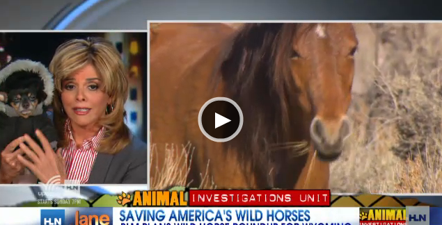 Click on Image to view video