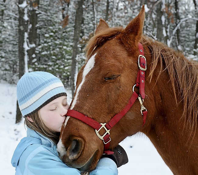 Dani Morrow, 12, of Osseo got the surprise Christmas present of her life when she received a horse and supplies from the area horse community Monday, Dec. 23, 2013, in Osseo, Wis. Morrow's father died of cancer in October, and her horse died a few weeks ago. (AP Photo/Eau Claire Leader-Telegram, Dan Reiland)