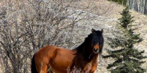 311562-1387553127-wide