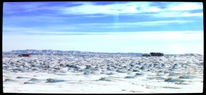 photo by Carol Walker