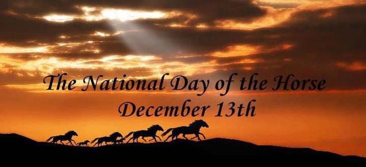 National Day of the Horse