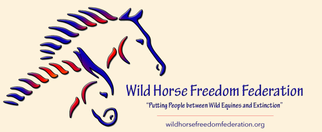 LogoRedWhtBlu-website-background5