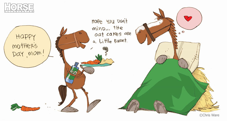 courtesy of the HorseChannel.com