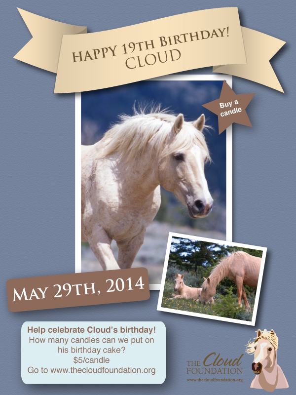 TCF_Cloud19bday_webcard