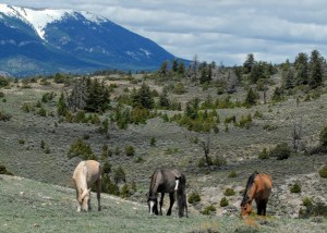 aaeb4d85-6980-450e-871f-cf8e5dddae2b