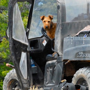 d9d6774a-f92e-48f1-b22c-0048c5145bde