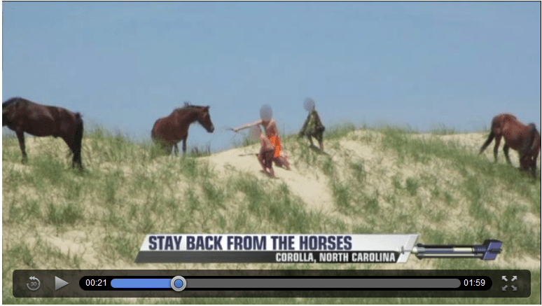 click on Image to View Video