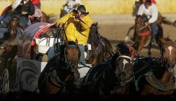 4b33195f44eaa38c8c23cf77347a-250x144