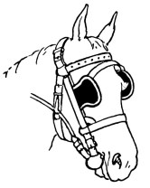 horse_with_blinders