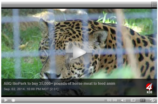 Click Image to View Video