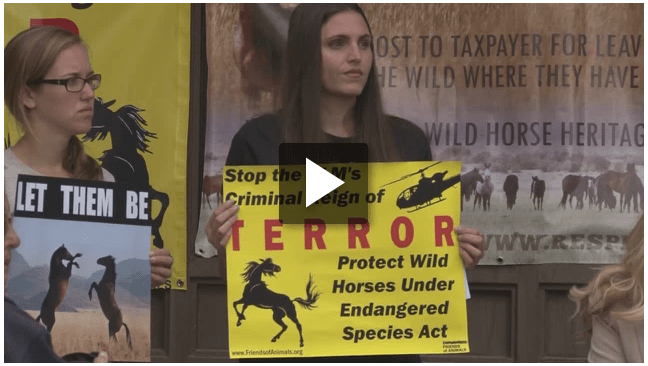 Click Image to View Video