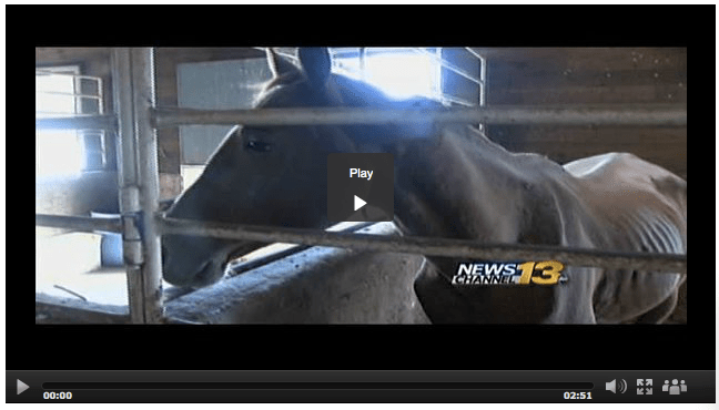 Click Image to View Video