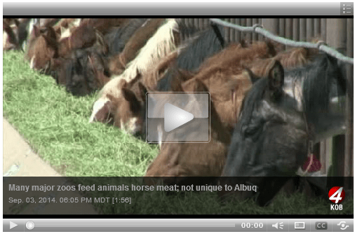 Click Image to View Video